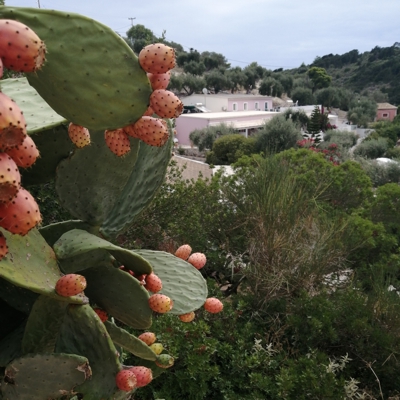 Walk Greece